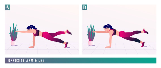 Opposite Arm & Leg exercise, Woman workout fitness, aerobic and exercises. Vector Illustration.