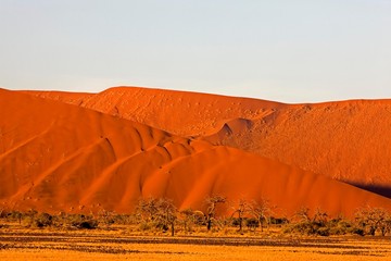 Namib-Naukluft Park, Sossusvlei Dunes, Namibia