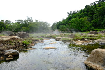 mountain river in the forest