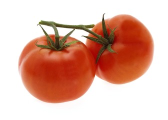 Red Tomato, solanum lycopersicum, Vegetables against White Background