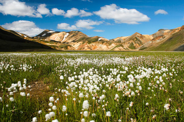 Fototapeta premium Landmannalaugar in Iceland. Amazing and Beautiful views and landscapes of Iceland. 