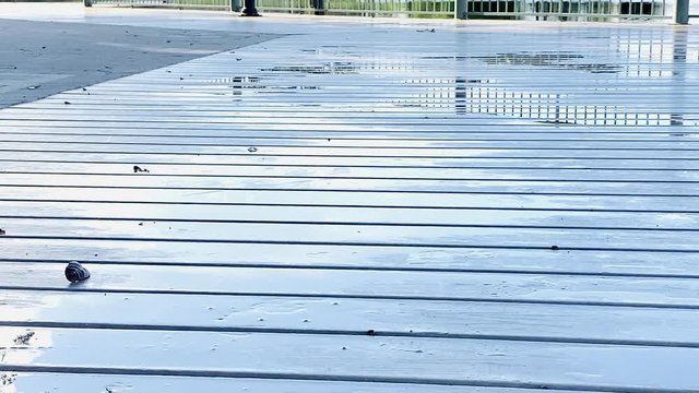 Little boy jumping on puddles in the morning in a boardwalk 