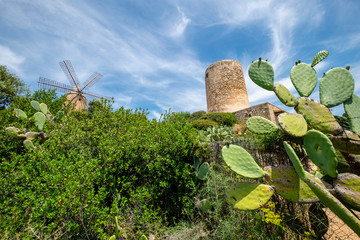 molino de Sa Planeta, Andratx, Mallorca, balearic islands, Spain © Tolo