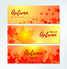 Set of Autumn horizontal banners with colorful maple leaves. Place for text. Vector illustration