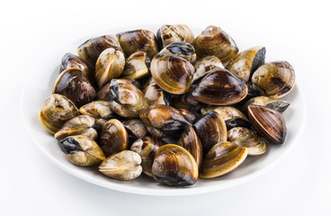 Stacked fresh raw clams on white background