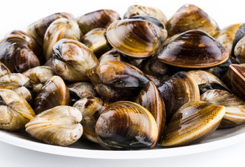 Stacked fresh raw clams on white background