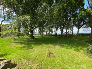 Country setting, with old trees, green field, and childs swing near, Haworth, Bradford, UK