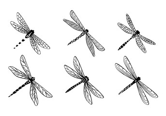 Hand drawn dragonfly set. Cute decorative insects isolated on white background. Vector illustration.