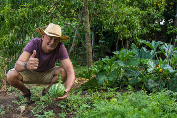 farmer picking watermelons in the garden and making ok sign