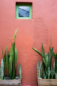 Mexican design of a facade