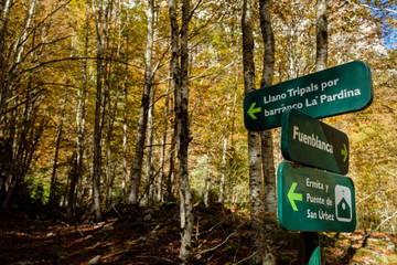 La Ripareta, Cañon de Añisclo, parque nacional de Ordesa y Monte Perdido,  comarca del Sobrarbe, Huesca, Aragón, cordillera de los Pirineos, Spain