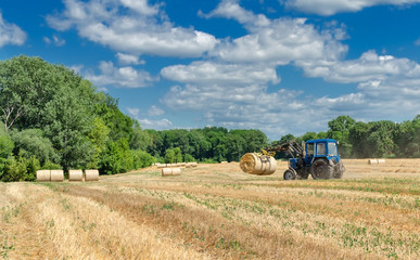 Obraz premium straw in round bales and a tractor in the field