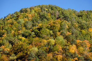 Fototapeta premium bosque de la Pardina del Señor, Fanlo, Huesca, Aragón, cordillera de los Pirineos, Spain
