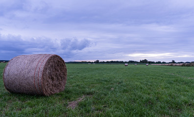 Heu Rundballen auf einer Wiese mit dramatischem Himmel