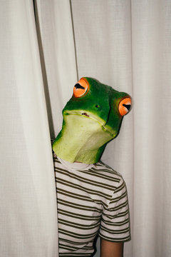 Person Wearing Frog Mask