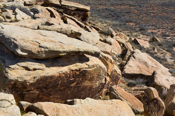 Petrified Forest National Park, Arizona, USA, America
