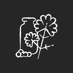Coriander chalk white icon on black background. Chinese parsley. Cilantro. Herbs and spices. Food flavoring and seasoning. Natural supplement. Isolated vector chalkboard illustration
