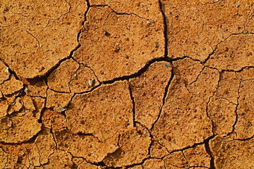 dry cracked earth