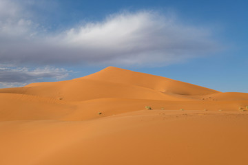 Erg Chebbi dunes, Merzouga, Marruecos, Africa