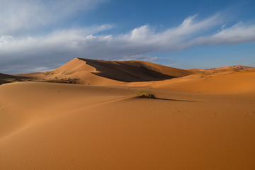 Naklejka na ściany i meble Erg Chebbi dunes, Merzouga, Marruecos, Africa