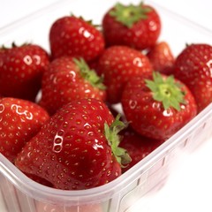 Strawberries, fragaria vesca, Fruits against White Background