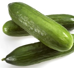 Cucumber, cucumis sativus against White Background