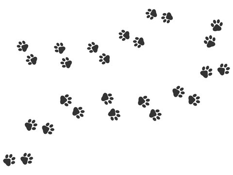 Paw vector trail print of cat isolated on white background. Dog or puppy silhouette animal tracks. Paw Print. Vector illustration. EPS10.