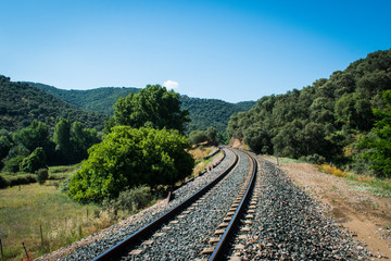 Obraz na płótnie Canvas train track that crosses a path