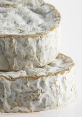 Camembert, French Cheese made in Normandy from Cow's Milk