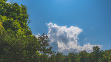 Obraz premium summer lake 17