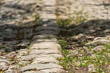 camino de Bànyols, Alaró, Mallorca, Balearic Islands, Spain