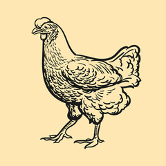 Chicken illustration, retro, vintage, linocut design for restaurants, bbq © Daniel