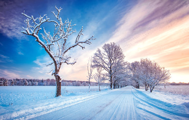 snowy alley in cold winter morning at countryside
