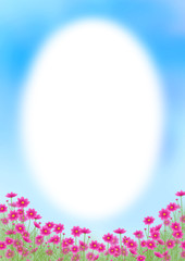 ピンクのグラデーションのコスモス畑と青空、秋の風景、コピースペース