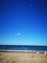 Plages bretonnes