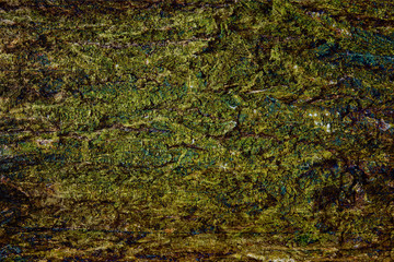 Abstract landscape texture with fluid shapes. Organic art style background.
