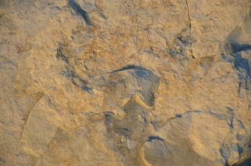 Details of sand stone texture, closeup shot of rock surface with vignette at cover and bright spot at centre, idea for background or backdrop.