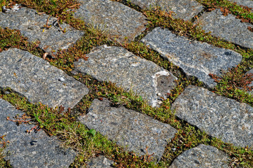 Cobblestone background with grass detail