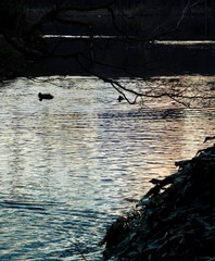 reflections on water