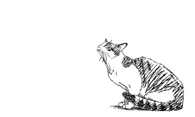 Drawing of cat sitting and looking up, side view. Hand drawn illustration Vector sketch