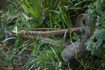 Rusted old gold trolley with wheels lying in grassy undergrowth