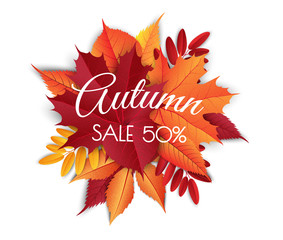 Autumn sale background layout decorate with leaves for shopping sale. Frame leaflet or web banner. Vector illustration template.