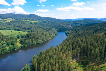 Naklejka na ściany i meble Aerial view of Regen river in summer with forest and amazing ecological landscape, bavarian forest, gemany