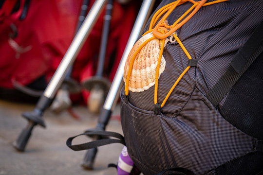 bastones de trekking y concha de peregrino de Santiago, Navarrete, La Rioja, Spain