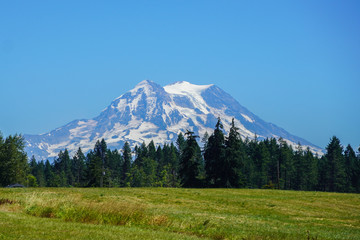Mt. Rainier © Laurel
