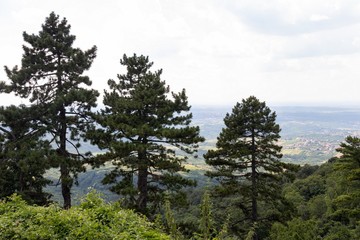 Fototapeta na wymiar Landscape views from Mount Avala Serbia