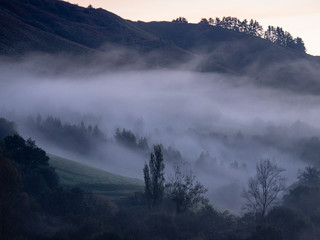 niebla matutina, Ucieda, parque natural del Saja-Besaya, Cantabria, Spain