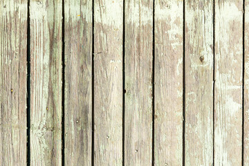 Old wood planks, perfect background for your concept or project.