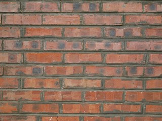 Fototapeta premium A wall constructed in glazed-headed Flemish bond with bricks
