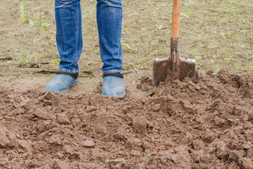 Worker man digs the soil with shovel in garden
